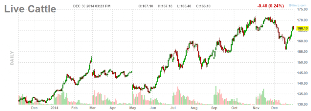 Live Cattle