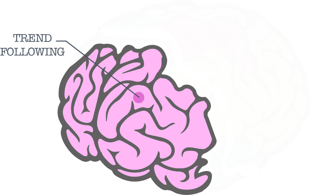 Managed Futures Brain Trend Following