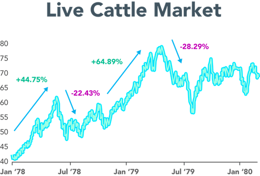 Live Cattle 1979_1