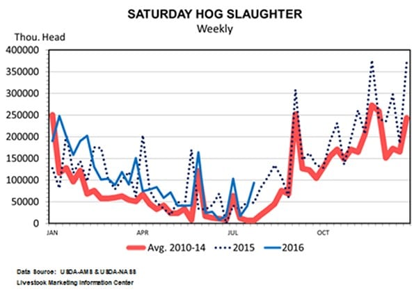 saturday-hog-slaughter