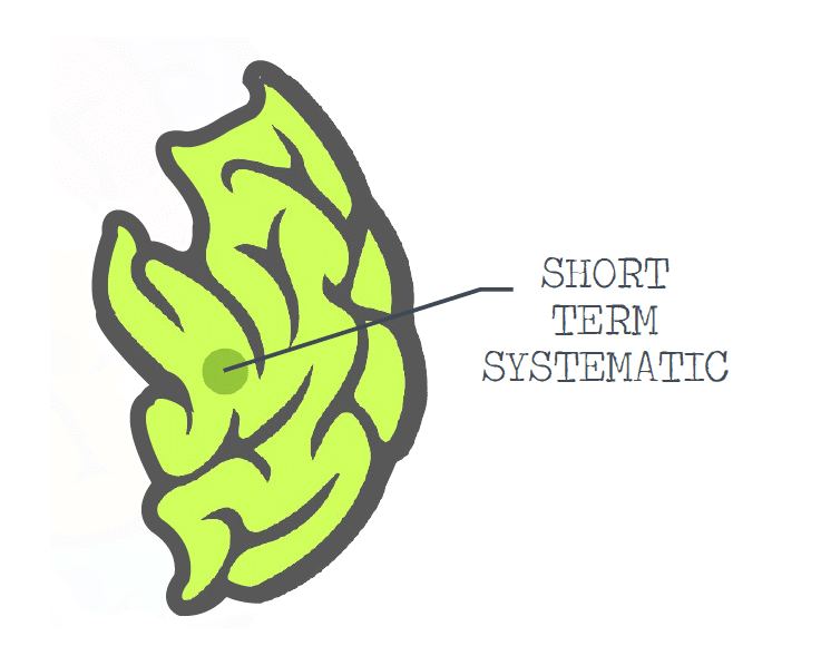 short-term-brain