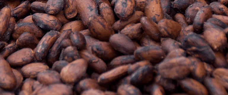 Winds of Change, Cocoa collapsing