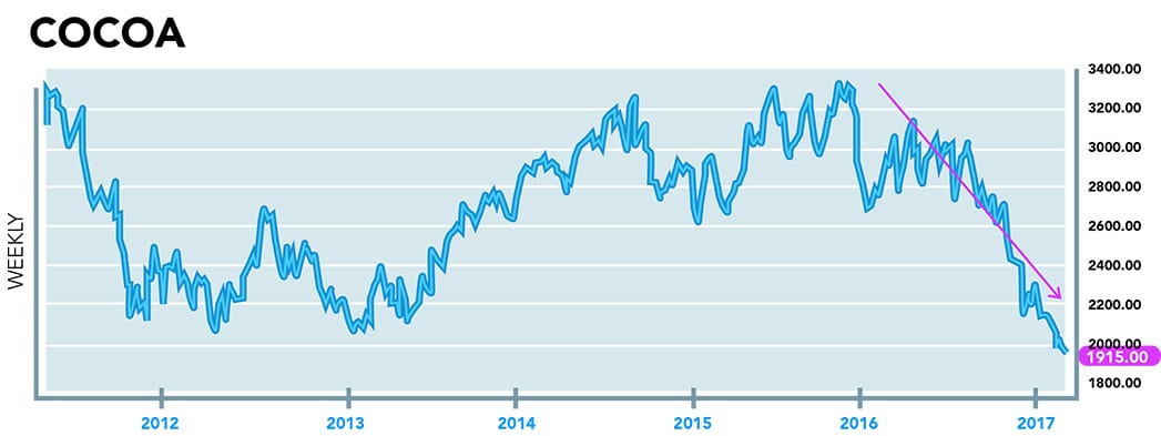 cocoa_downtrend