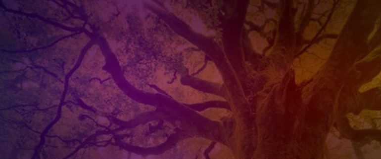 futures_ecosystem_forest