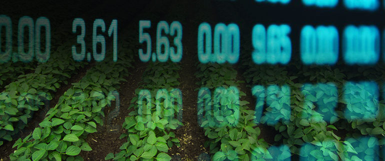 soybeans_banner