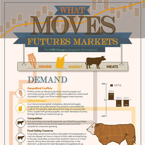 What Moves Futures Markets