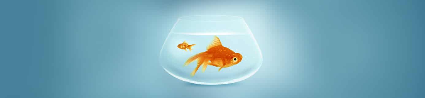 NO ONE KNOWS HOW BIG MANAGED FUTURES IS
