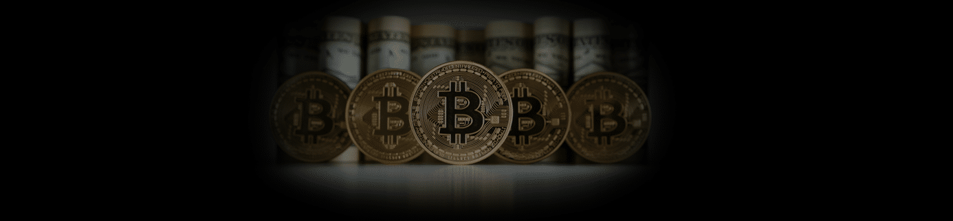 Why Crypto is so Popular