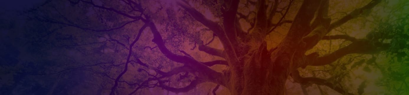 futures_ecosystem_forest