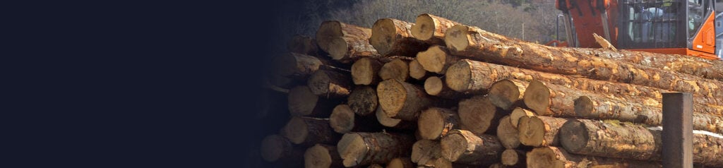 Lumber: A Demand Driven Rally….On Steroids